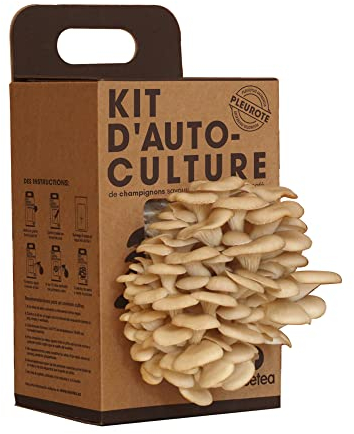 Resetea - Kit D´auto-culture - Champignons huitre sur des marcs de café y recyclés Kraft | Cadeau Original