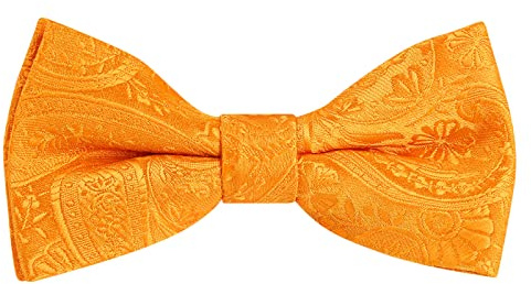Alizeal Boys Paisley Adjustable Pre-tied Bow Tie, Orange