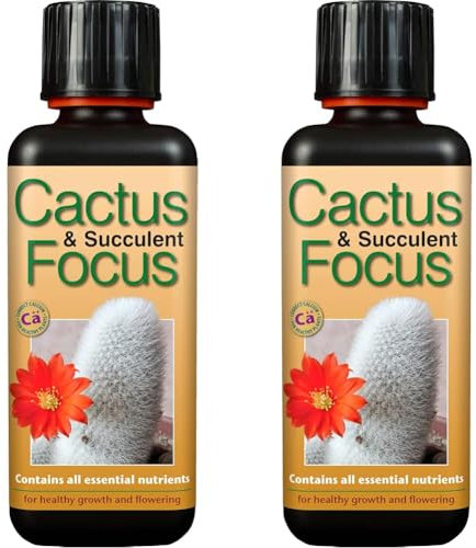 Growth Technology Ltd GTCAF300 Cactus and Succulent Focus 300ml - Black (Pack of 2)
