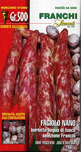 Franchi sementi semi di fagioli e fagiolini nani e rampicanti in confezioni varie (nano borlotto lingua di fuoco, 500 grammi)