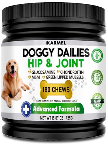 iKarmel Joint Supplements for Dogs | Hip and Joint Care | with Glucosamine, Chondroitin, and Green-Lipped Mussels | Puppy to Senior Dog Treats for Stiff Joints (180 Chews)