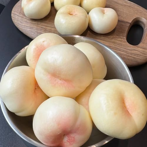 nectarina Comprar orgánicos Semillas de frutas de balcón resistentes lecho elevados rápido crecimiento Balcón exótico a prueba invierno, 25semillas