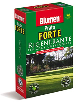 Blumen Prato Forte rigenerante per Zone ombreggiate