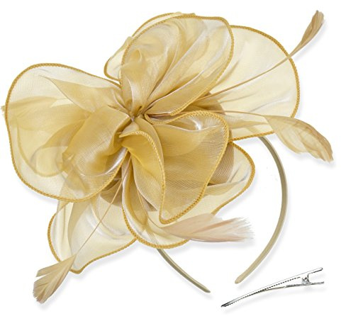 DRESHOW Femmes Fascinator Chapeau Fleur Mesh Plume Mariage Dames Day Bandeau et Clip Cocktail Tea Party Chapeau