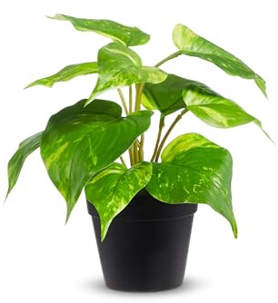 RAZ Imports Golden Pothos - Green 8 x 8.5 Inch Plastic/Fabric Artificial Potted Plant, 4441883