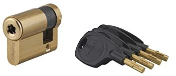 Mezzo Cilindro europeo Surveyor 31X10 Ottone 4 chiavi
