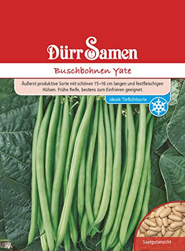 Buschbohnen Samen Yate Bohnensamen Grüne Bohnen ca 100 Korn Saatgut Gemüse Garten Hochbeet Kübel Dürr Samen