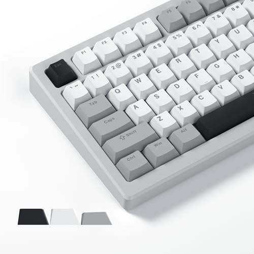 Womier Shine Through Keycaps, PBT Keycaps 60 65 75 100 Percent Cherry Profile Custom Key caps Set for Cherry Gateron MX Switches Mechanical Keyboard-Grey Creamy