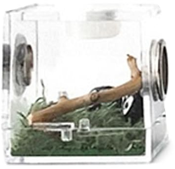 Kustimantu 1 boîte d'élevage, en acrylique, pour l'élevage d'animaux domestiques, rangement transparent de nourriture vivante, enclos pour reptiles portable en acrylique, récipient d'élevage avec trou
