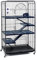 Little Friends Blenheim Extra Tall Rat Cage with Accessories, 140 cm, Black