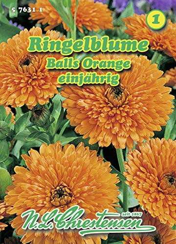 N.L. Chrestensen 576311 Ringelblume Balls Orange (Ringelblumensamen)