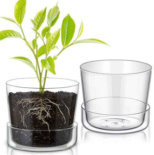 Singhoow 2 Sets 6 Inch Glass Planter with Drainage Hole and Tray Indoor Clear Plant Pots with Saucer Modern Decorative Orchid Glass Pot for Outdoor Flower Plants
