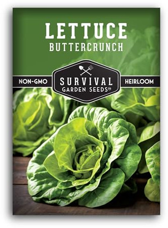 Buttercrunch Lettuce Seeds for Planting - Crisp Bibb Butter Lettuce Variety for Gardens, Heat Tolerant High Yield Heirloom Non-GMO Variety - Survival Garden Seeds (1 Pack)