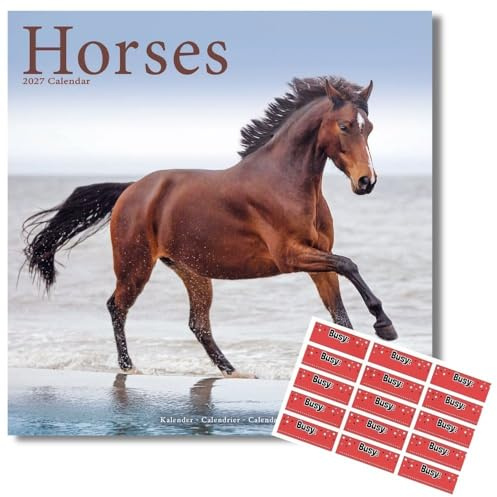 Avonside Horses 2027 Square Calendar with Organisational Stickers | 16 Month Square Wall Calendar, Month to View Layout, Marked UK Holidays, High Quality Images, Home or Office Planner, 12x12in