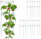 Relaxdays Rankhilfe 6er Set, Metall, runde Pflanzenstütze Tomaten & Gurken, HxD: 76 x 26 cm, 2 Ringe, Gurkenturm, grün