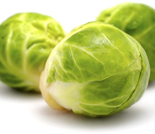 Brussels Sprouts Plants, 'Brigitte', 6 x Plug Plant Pack, Winter Vegetable Plants, Sprouts, Garden Veg, Garden Ready and Ready to Plant, Premium Quality Vegetables