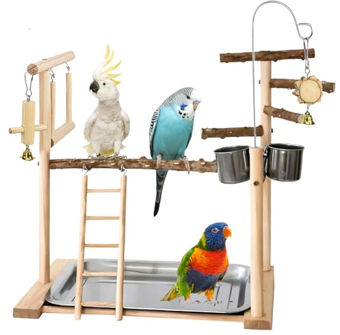 Aire De Jeux pour Oiseaux, Terrain De Jeu pour Perroquet, Support De Jeu pour Oiseaux avec Mangeoire, Échelle, Balançoire Et Plateau, des OiseauxS Playstand, Aire De Jeus pour Perroquet