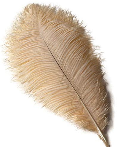 Sowder 10pcs Ostrich Feathers 12-14inch(30-35cm) for Home Wedding Decoration(Champagne)