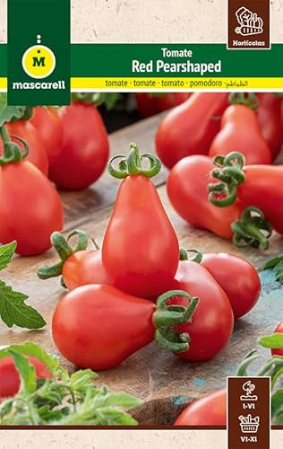 Mascarell Semillas, TOMATE RED PEARSHAPED, Semillas Huerto, Tomate Cherry Pera Rojo y Dulce, Crea tu Propio Huerto Urbano y Cultivo en Casa, 0.5 GR