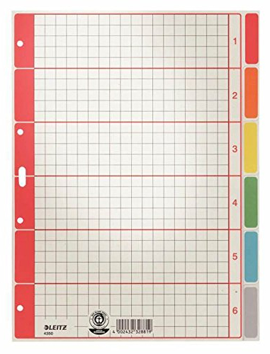Esselte Leitz Kartonregister Blanko, A4, Karton, 6 Blatt 43500085 Grau mit farbigen Taben, 5 Stück
