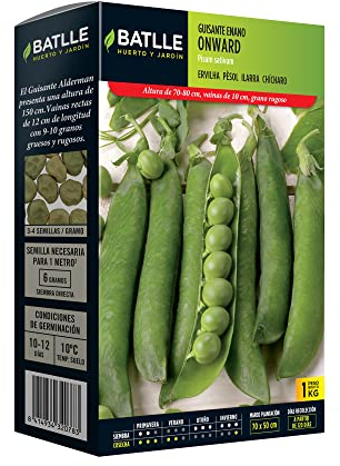Semillas Batlle – Petit Pois Nain Lincoln 1 kg