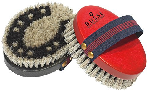 BUSSE Kardätsche HUFEISEN