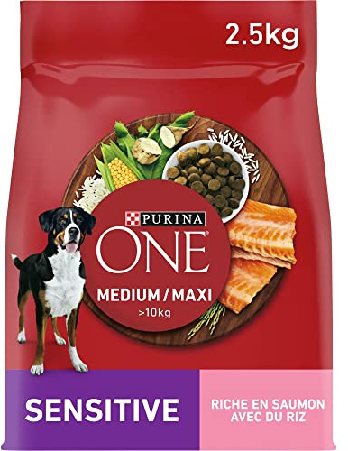 PURINA ONE | Sensitive | Croquettes Chien Adulte moyenne et grande taille > 10Kg | Facilite la digestion, maintien les muscles forts et un niveau suffisant d'énergie | Saumon | Sac 2,5 kg