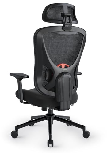 Eucladoceros Bürostuhl Ergonomisch mit 3D Kopf & Lordosenstütze, Höhenverstellbarer Drehstuhl(95°-120°) mit W Förmigem Sitzkissen, Schreibtischstuhl für Homeoffice/Büro, 150KG Belastbarkeit(Schwarz)