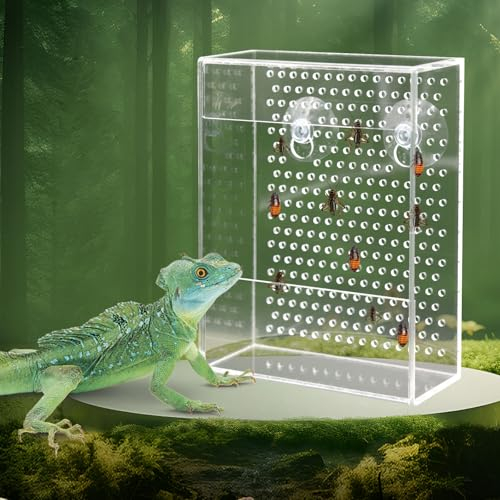Bartdrachen Feeder, Chamäleon Bug Bowl, Transparentk Acryl Reptilien Feeder Box, Wandmontierte Insektenfutterschale mit Saugnäpfen, Tank und Aquarium Zubehör für Eidechse Bartagame Gecko Frosch