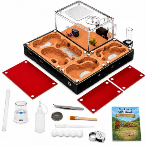 Rimsunta Nido de hormigas ecológico, granja modular de hormigas con cubiertas de vidrio magnéticas, control de humedad, ventilación y puertos de expansión, perfecto para entusiastas de hormigas (10.6