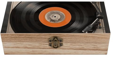 DWTJKMS Grande boîte de rangement vintage en bois pour disques vinyles - Boîte à souvenirs décorative avec couvercle à charnière et fermoir à l'avant - Boîte à bijoux vintage en bois