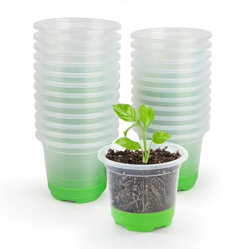 MIXC Anzuchttöpfe 24 Stück 10cm Pflanztöpfe Transparent mit Silikonsockel für einfache Beobachtung und Transplantation Wiederverwendbar Blumentöpfe aus Kunststoff für Pflanzen,Grün