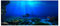 Aquarium Background Realistische Sea-World-Aufkleber Für Aquarien, Wasserfeste Selbstklebende Aquarium-Dekoration Mit Selbstklebendem Material, Schafft Eine Coole Und Dennoch Moderne Ergänzung