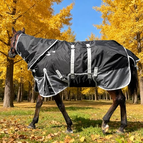 Turnout Horse Blanket with Hood | Medium Weight Winter Horse Blanket | 1200D Water Resistant |(Black/Gray with Band, 72 in)