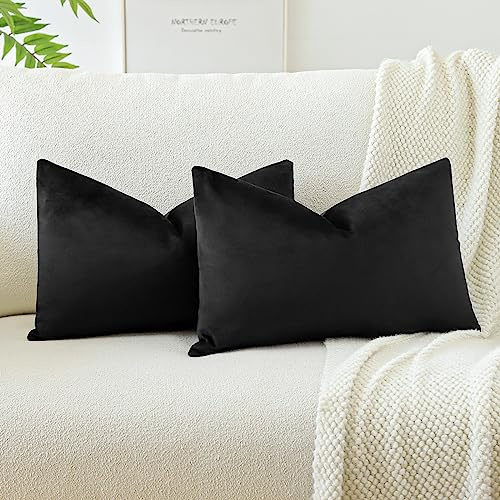 JOTOM Set of 2 Velvet Soft Solid Cushion Covers 30x50 cm Decorative Throw Pillow Covers Soft Lumbar Cushion Case Couch Home Decor Throw Pillow Cases for Sofa Bedroom 12x20 Inch (Black)