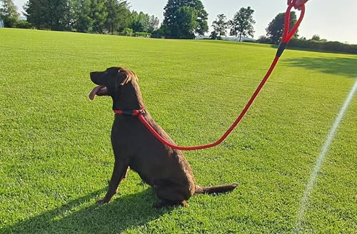 Duo lead All in one Slip lead or Head Collar dog trainin Stop Pull Large Dogs Figure 8 Training Mode (Red, 10mm x 140cm (SM- Med Dogs))