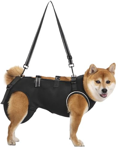 Harnais pour chien à porter, ceinture de rééducation douce avec fonction de soutien, aide au transport respirante pour chiens âgés, entraînement et activités de plein air