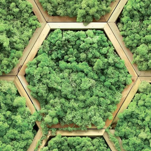 GOYAPRINT Papier peint autocollant hexagonaux en bois avec mousse 40 x 250 cm Décoration naturelle pour murs et meubles (jardin)