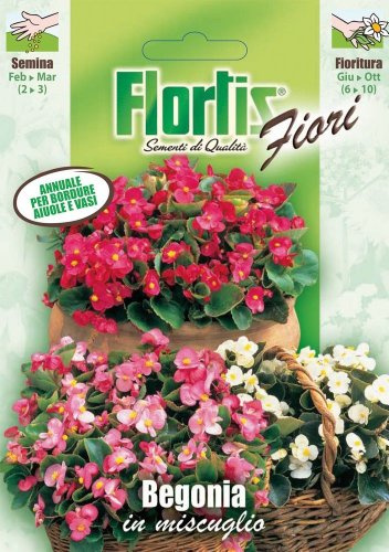 Flortis 4351020 Begonie Mischung (Begoniensamen)