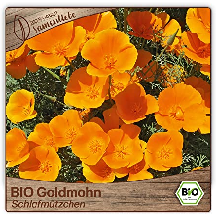 Samenliebe BIO Goldmohn Samen alte Sorte Schlafmützchen 200 Samen samenfestes Blumen Saatgut für Garten Freiland und Balkon BIO Blumensamen