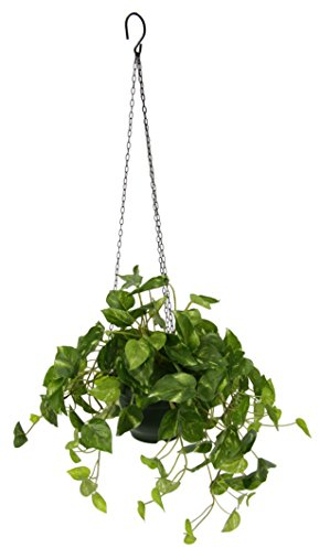 Flair Flower Pianta Artificiale da Interni, Fiori Artificiali, Pothos, fioriera sospesa, Piante da Appendere, Fiori e Piante da Appendere