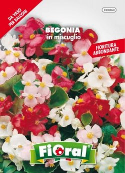 L'Ortolano Semences de fleur de qualité en sachet pour utilisation amateur