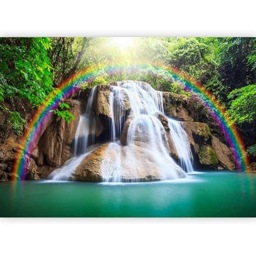 murando Fotomurales 350x256 cm XXL Papel pintado tejido no tejido Decoración de Pared decorativos Murales moderna Diseno Fotográfico naturaleza paisaje arco iris cascada c-C-0007-a-b #06