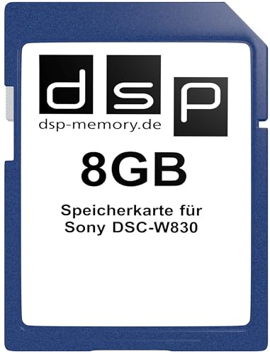 Scheda di memoria da 8 GB per Sony DSC-W830