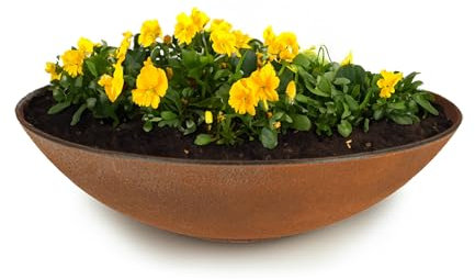 matches21 HOME & HOBBY Bac à plantes résistant aux intempéries pour l'extérieur de 28 cm - Aspect rouille comme bac à fleurs - Bac décoratif