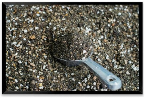 Mixed soil growing cactus Black Framed Canvas Wall Art for Living Room Bedroom Kitchen Bathroom Prints Pictures Wall Decor Posters Painting Artwork 16x24