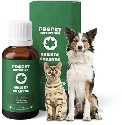 Aceite de Semilla de Cañamo Perros y Gatos 100% Natural (700 Gotas) Sin Olor Ni Sabor. Fuente de Omega 3, 6, 9. Cuida Pelaje y Articulaciones