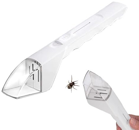 Attrape-Insectes Vivants - Magnifier Piège À Insectes Vivant Avec Loupe 5X, Attrape-araignée Transparent À Main, Peut Attraper Des Araignées Des Guêpes Des Fourmis, En-fants Peuvent Observer De Près
