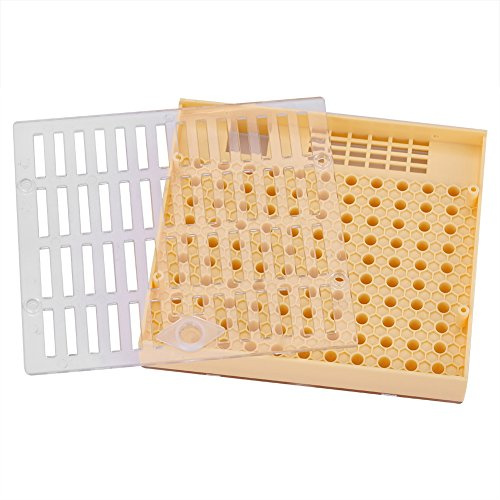 RASTKY Kit de Cellules d'élevage d'abeilles, Système Cupularve, Outil pour l'apiculture, Kit de Tasses 'élevage, Fournitures pour l'apiculture