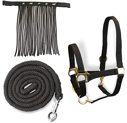 Halfter für Pferde mit Führstrick & Fliegenfransen Pferd, Halfter mit Strick - Halfter Pony Shetty Halfter Cob Full Kb (Pony, Schwarz)